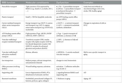 Corrigendum: The influence of physiological and pathological perturbations on blood-brain barrier function